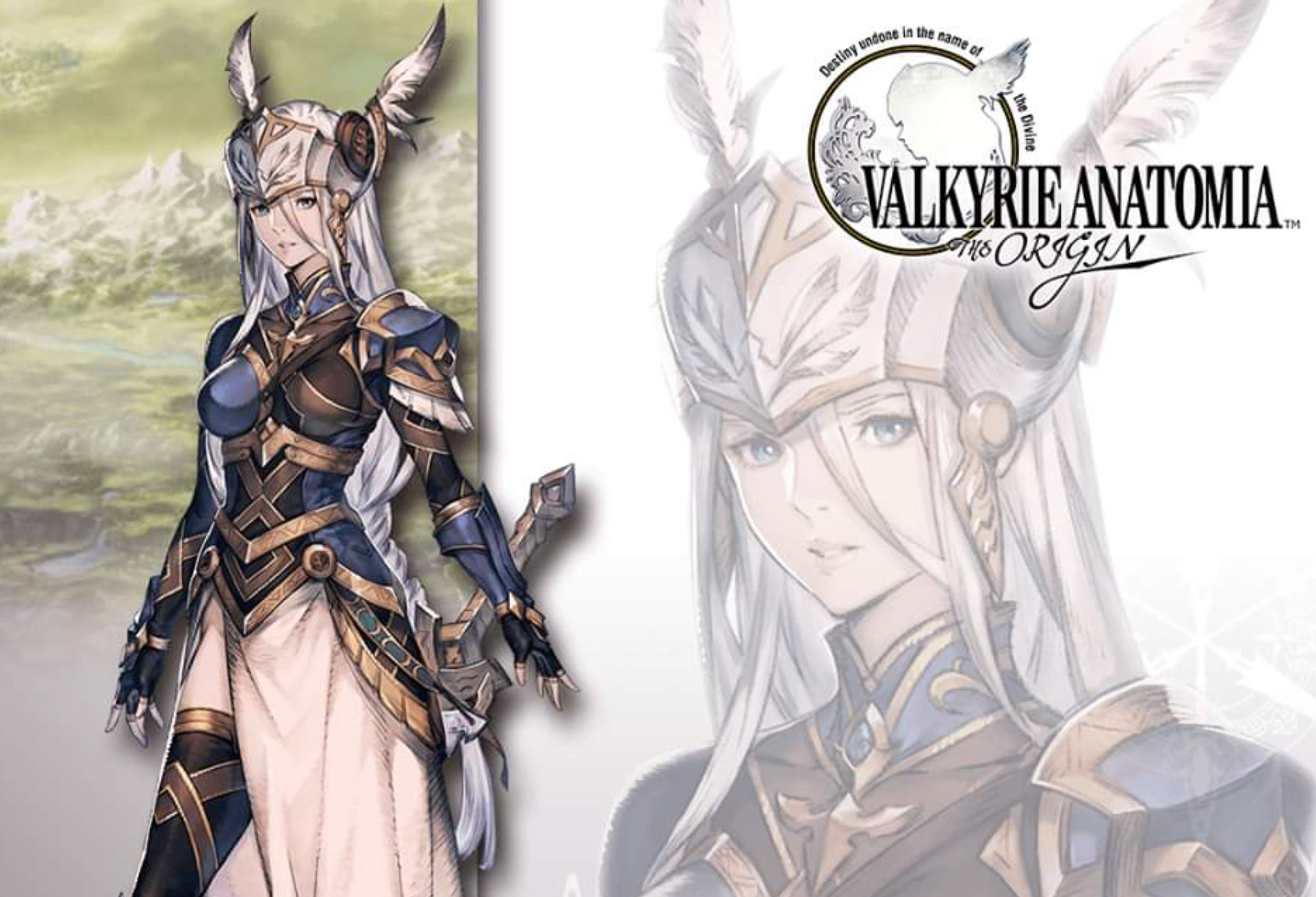 Valhalla Assault, Valkyrie Anatomia Wikia